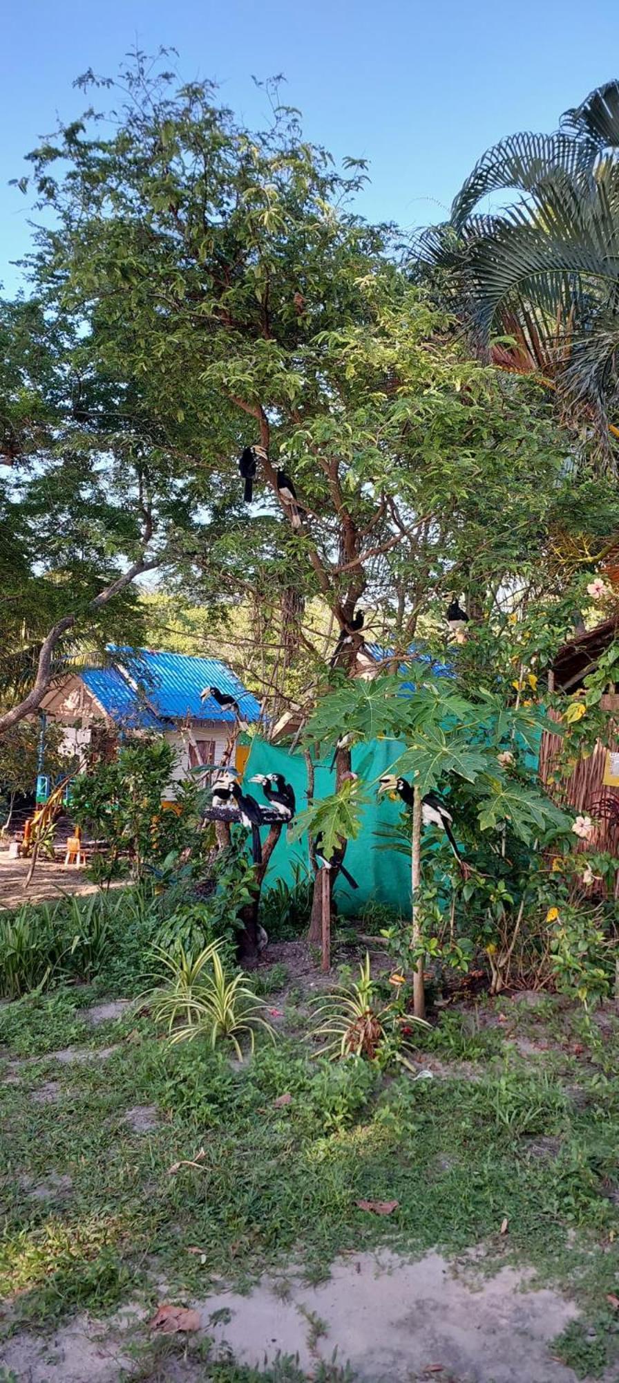 Baan Suan Kayoo 2 Buffalo Bay Aow Khao Kwai Koh Phayam Exterior foto